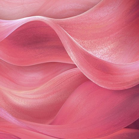 Sensibio Gel moussant